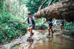 BIB: 
                            <button type="button" onclick="openModal(25374981)" class="btn btn-primary btn-sm float-right btn-popup" data-toggle="modal" data-target=".modal-high-quality">
                        <i class="fas fa-shopping-cart"></i> Add to Cart
                    </button>
                                            <button type="button" onclick="isThisMe(25374981, true)" class="btn btn-success btn-sm float-right btn-popup btn-isme hidden" data-toggle="tooltip" data-placement="bottom" title="นี่คือรูปของคุณใช่ไหม คลิกที่นี่เพื่อเอาเข้าอัลบั้ม">
                        <i class="fas fa-plus"></i> Add to album
                    </button>
                    <button type="button" onclick="isThisMe(25374981, false)" class="btn btn-warning btn-sm float-right btn-popup btn-isnotme hidden">
                        <i class="fas fa-ban"></i> Remove from album
                    </button>